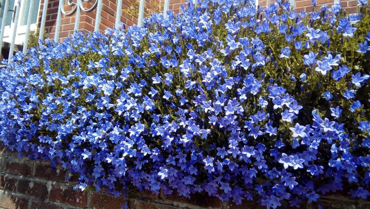 Lavender House Hotel Bridgend  Bagian luar foto